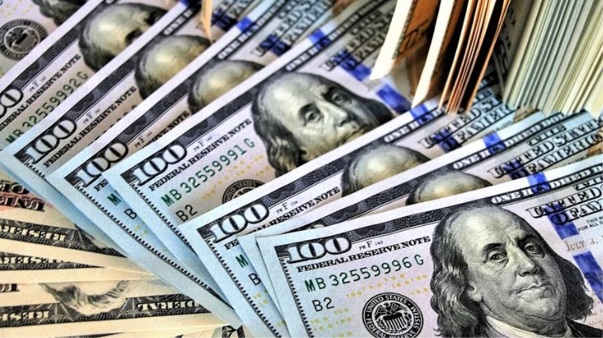 Merkez Bankası Başkanı Hafize Gaye Erkanın istifası sonrası dolar kurunda hareketlilik - Ekonomi - Dudullu Haber