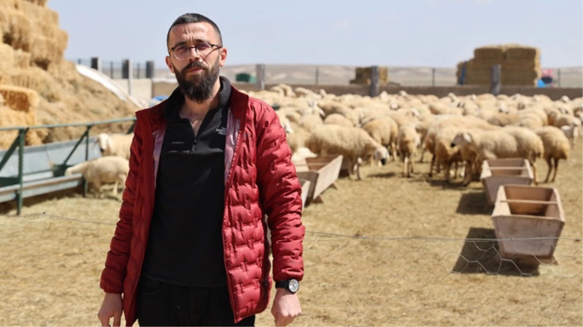 42 bin lira maaş sigorta dayalı döşeli ev ve karavana rağmen tarımın kalbinde çoban bulunamıyor - Ekonomi - Dudullu Haber