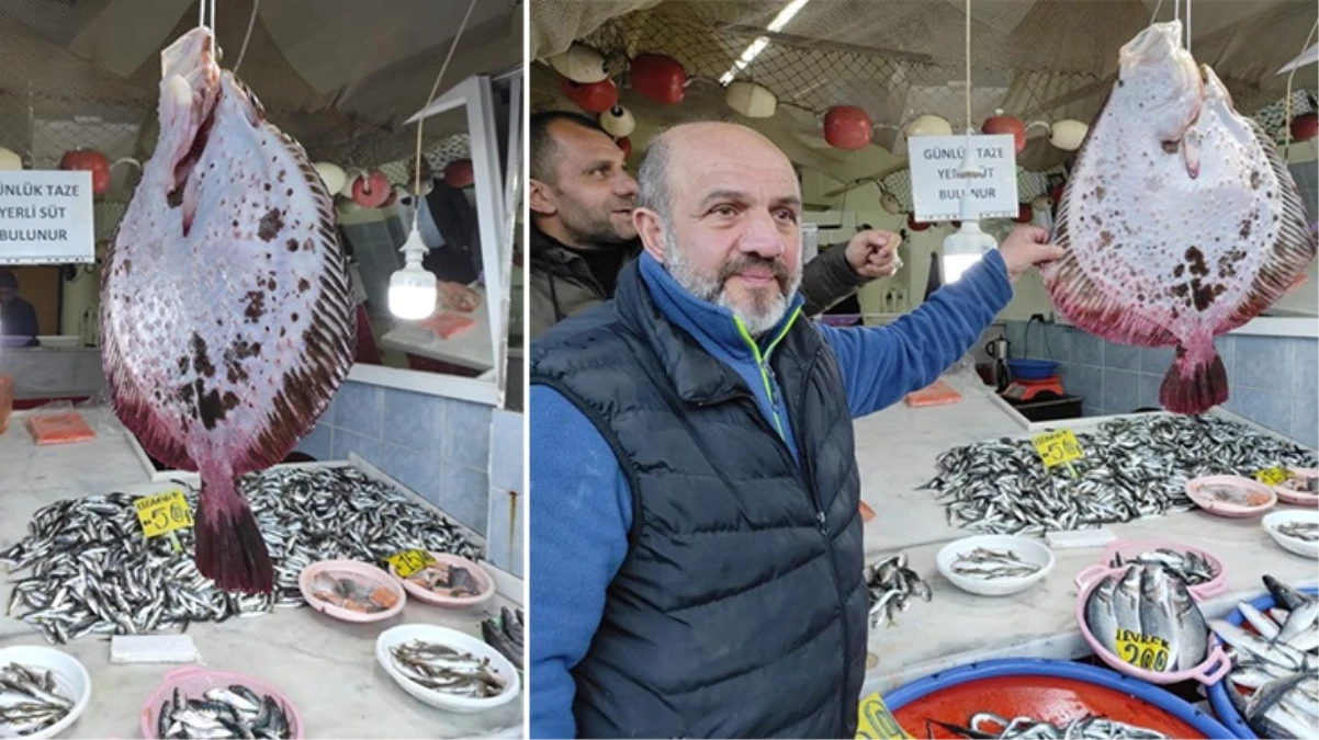 Karadenizde nadir görülen Kalkan balığı 7 bin TLye satıldı - Ekonomi - Dudullu Haber