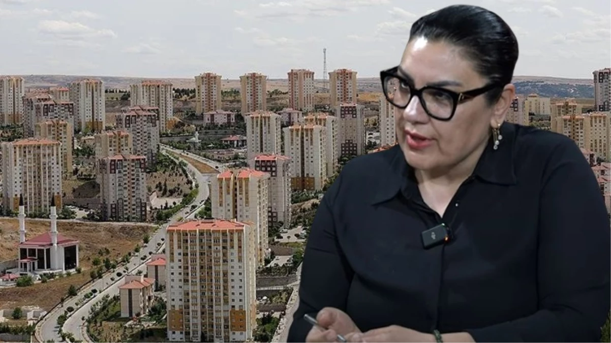 Gayrimenkul-Uzmani-Senay-Arac-Kiralara-yeni-duzenleme-yapilacakjpg - Dudullu Haber