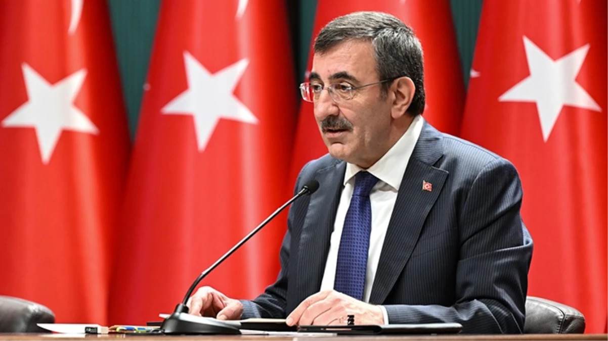 171597954536Cumhurbaskani-Yardimcisi-Cevdet-Yilmaz-Kamuya-eleman-alinmayacak-diye-bir-seyjpg - Dudullu Haber