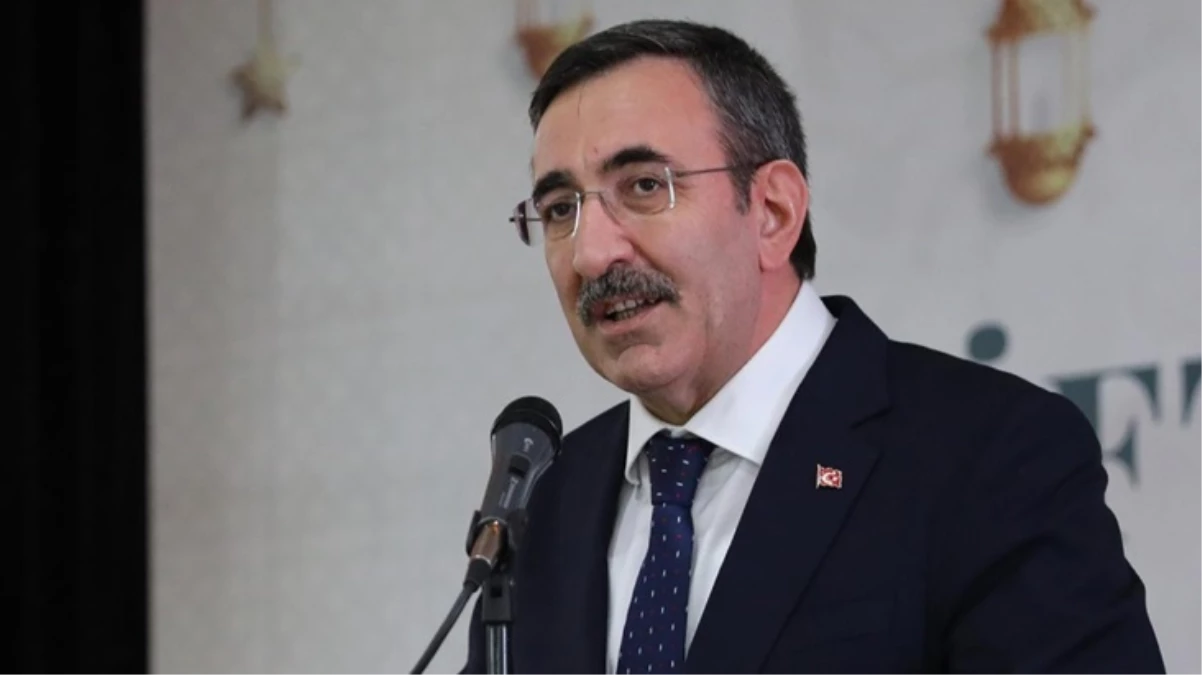 Cumhurbaşkanı Yardımcısı Cevdet Yılmaz Mayıstan sonraki 4 ayda hızlı bir düşüş olacak - Ekonomi - Dudullu Haber
