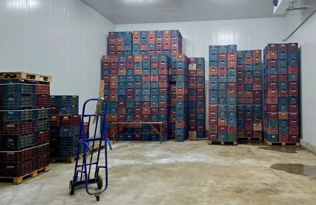 Mersin'de HKS'ye kayıt edilmeyen 380 ton limon tespit edildi