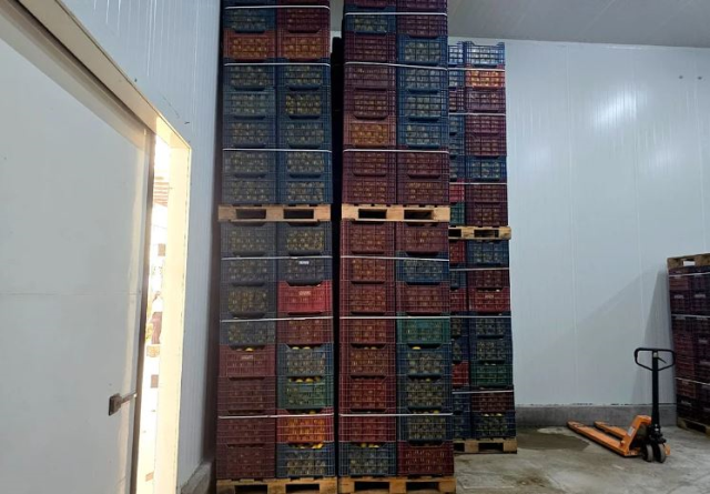 Mersin'de HKS'ye kayıt edilmeyen 380 ton limon tespit edildi