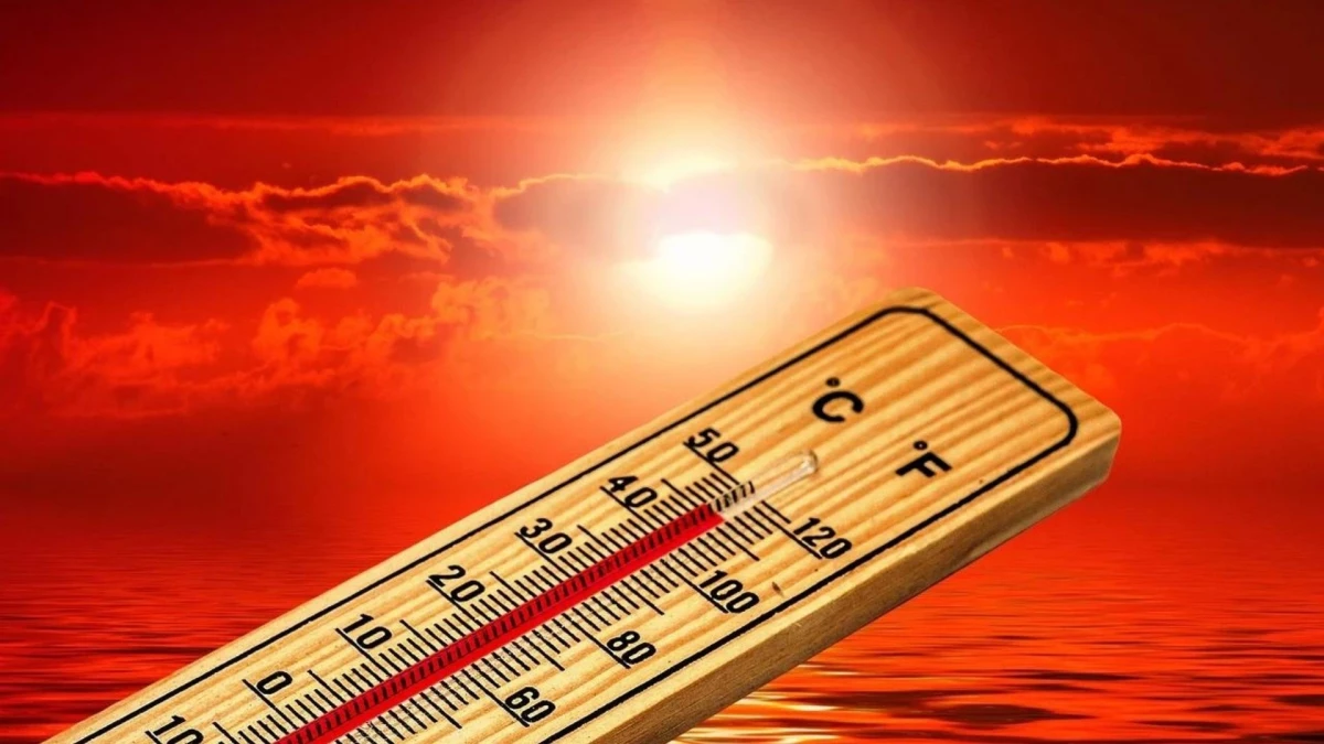 HAVA SICAKLIĞI HABERLERİ | Nem oranı yüzde kaç? 18 Temmuz hava durumu raporu! İstanbul, Ankara ve İzmir'de hava sıcaklığı kaç derece? 7 1721290613 94 HAVA SICAKLIGI HABERLERI Nem orani yuzde kac 18 Temmuz