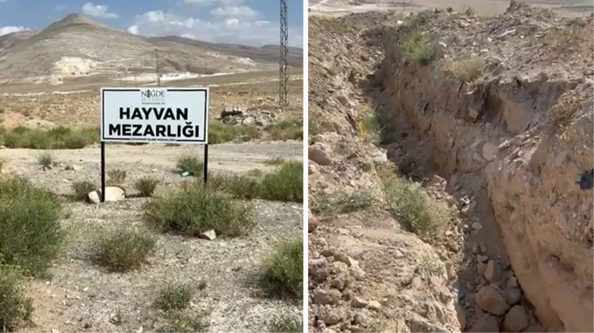 Nigdede kopeklerin topluca gomuldugu iddia edildi isin asli bambaska cikti