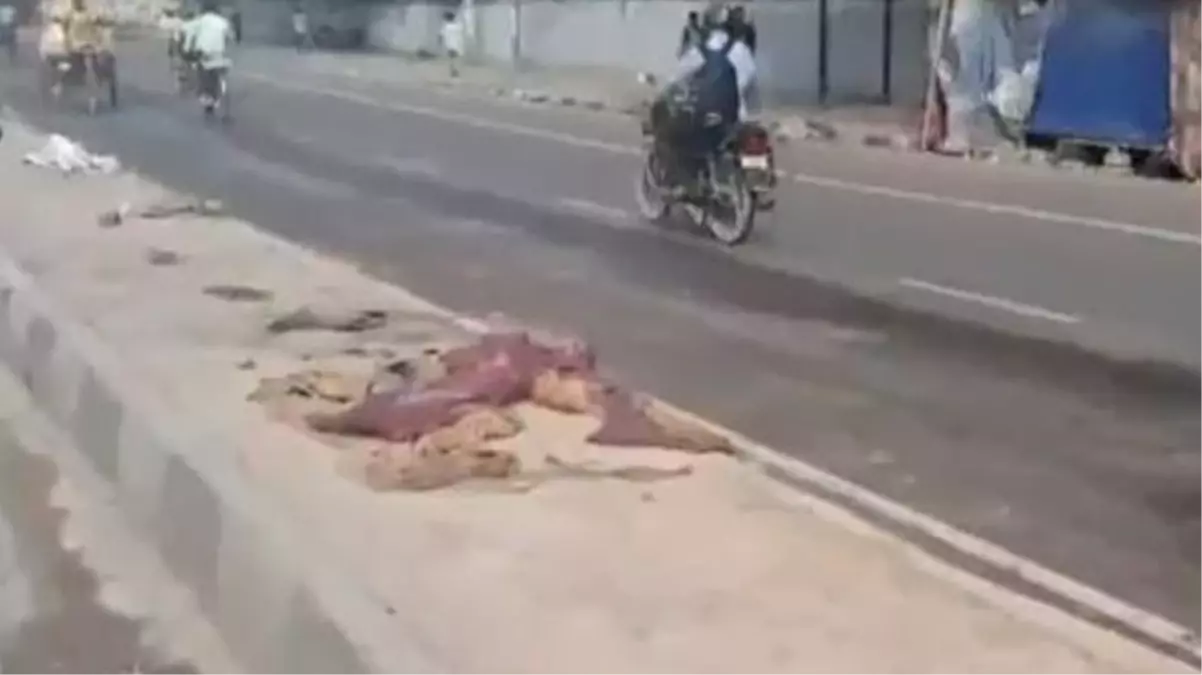 Hindistanda korkunç kaza Kamyon kaldırımda uyuyan evsizlerin üzerinden geçti 3 kişi hayatını kaybetti - Gündem - Dudullu Haber