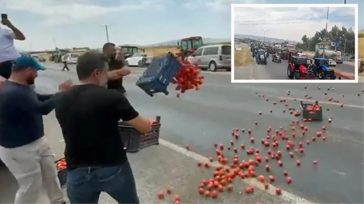 Kahramanmaraş’ta çiftçiler eylem yaptı! Kasa kasa domatesi yola döktüler