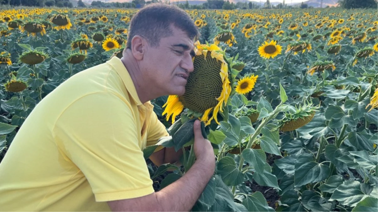 Türkücü Aydın Aydın fazla ücret talep eden mankenlere tepki göstererek klibinde ayçiçekleri oynattı - Magazin - Dudullu Haber