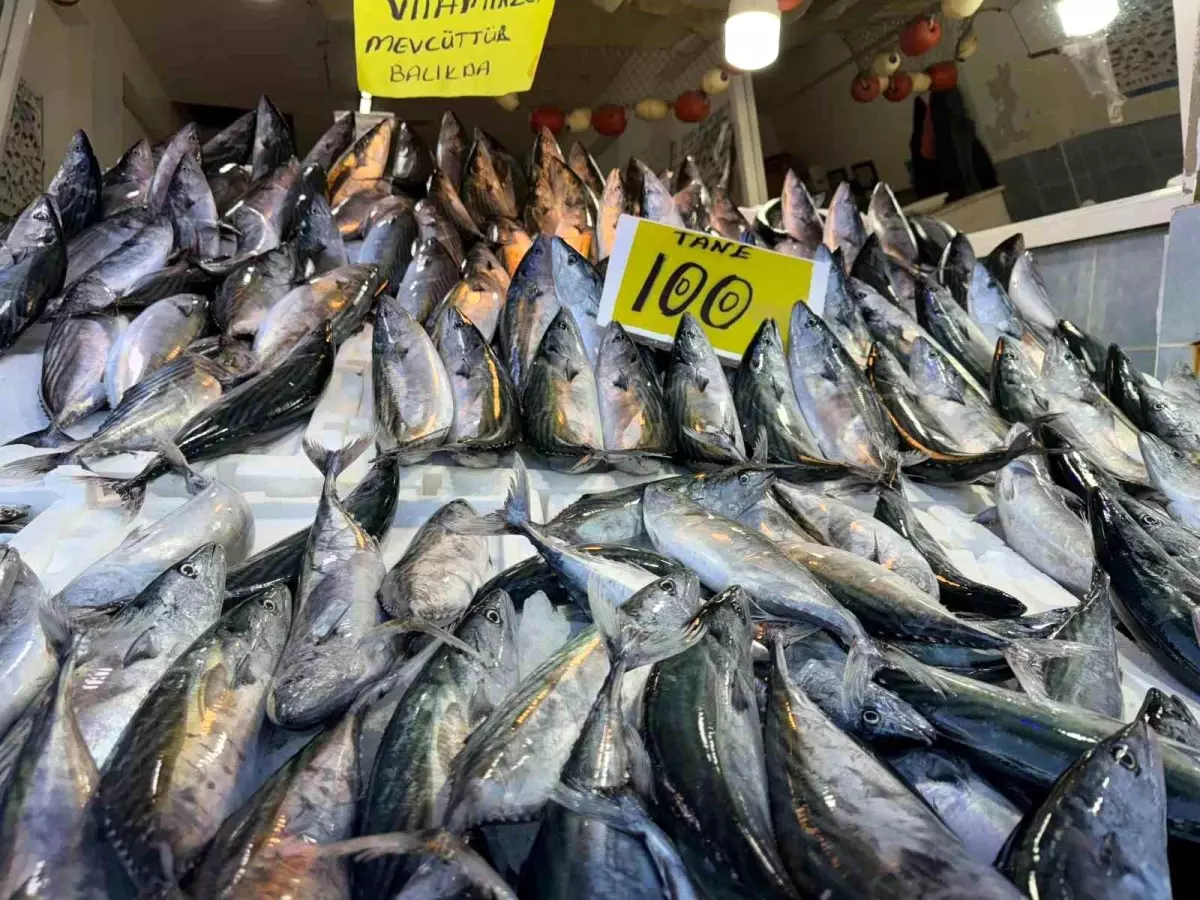 Hamsi fiyatları palamudu geçti: Karadeniz’in incisi 200 TL’den satılıyor