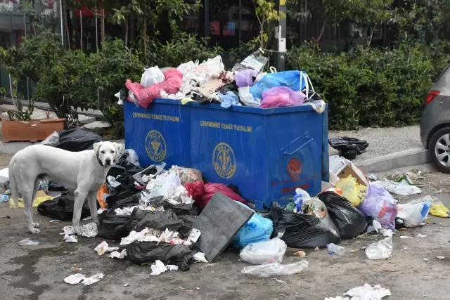 Buca Belediyesi'nde grev var, sokaklar çöplüğe döndü