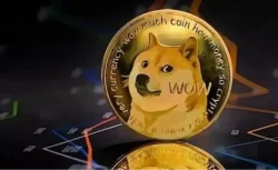 Aradaki fark dudak uçuklattı! 2013’te 100 dolarlık Dogecoin alsaydınız bugün ne kadar paranız olurdu?