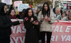 Hayvan Hakları Savunucuları AYM’ye Katliam Yasasının İptali İçin Eylem Düzenledi