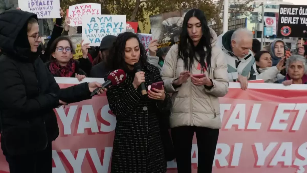 Hayvan Hakları Savunucuları AYM’ye Katliam Yasasının İptali İçin Eylem Düzenledi