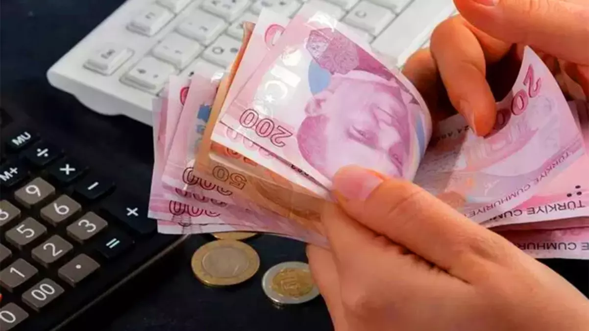 Kamu bankaları bir ayda 4,4 milyar liralık borcu yapılandırdı