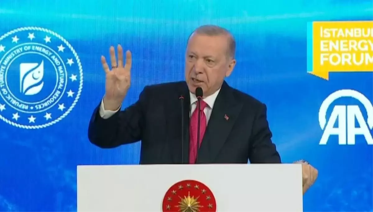 Cumhurbaşkanı Erdoğan: 2026 yılında hanelerimizin yarısını kendi doğalgazımızla karşılayacağız