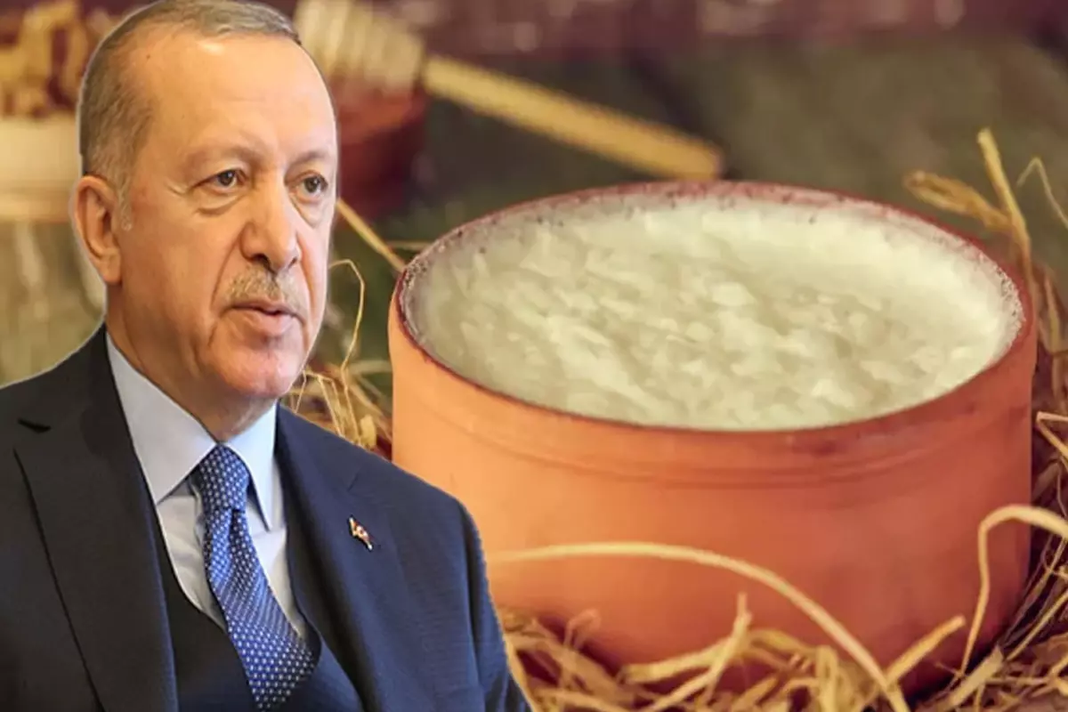 Erdoganin manda yogurtlu tarifinin maliyeti 25 kat artti