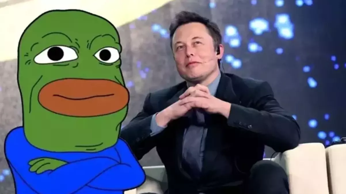 PEPE coin Musk ruzgariyla hareketlendi Yukselis gecici mi kalici mi