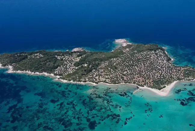 Garip Adası icradan satışa çıkarıldı! Değeri dudak uçuklatıyor