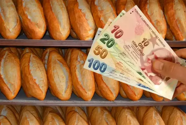 Hatay'da bir fırın sahibi 12.5 TL'ye satılan 200 gram ekmeği 7.5 TL'ye satıyor 5 Hatay'da bir fırın sahibi 12.5 TL'ye satılan 200 gram ekmeği 7.5 TL'ye satıyor
