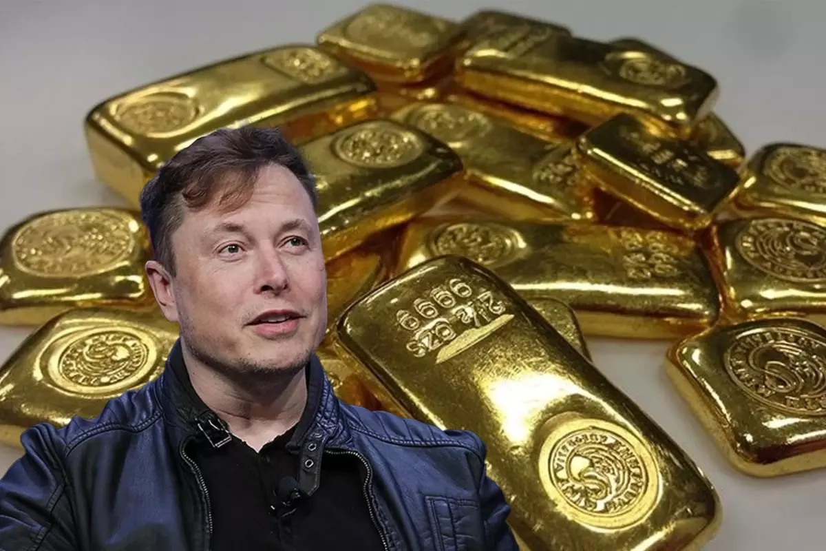 Elon Musk her seyi bilmek istiyor Simdi de altina el