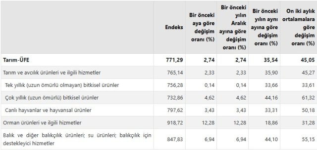 TÜİK: Tarım ürünleri üretici fiyat endeksi yüzde 35,54 arttı