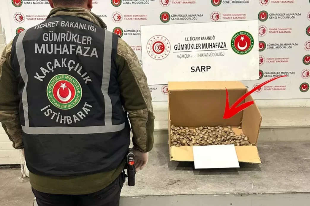 en ilginc kacakcilik girisimi x ray taramasi 18376926 8107 amp