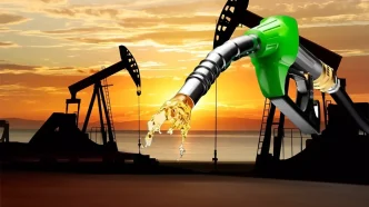 140 milyon ton kaya petrolu rezervi kesfedildi
