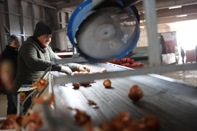 Bir girişimci devlet desteğiyle kurduğu paketleme tesisinde 30 kişiyi istihdam ediyor