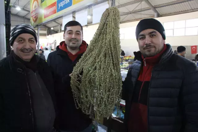 Amasya'nın Çiçek Bamyası altınla yarışıyor: Kilosu 3.500 lira