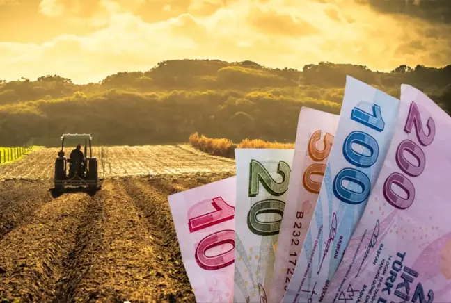 Tarım işçilerinin ücretlerinin en yüksek olduğu kentler belli oldu 4 Tarım işçilerinin ücretlerinin en yüksek olduğu kentler belli oldu