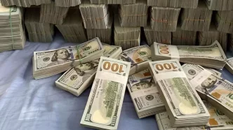 Uluslararasi Para Fonu IMF akil almaz biz sahtekarliga konu oldu