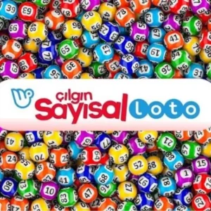 cilgin sayisal loto sonuclari sorgulama ekrani 18424187 6968 amp