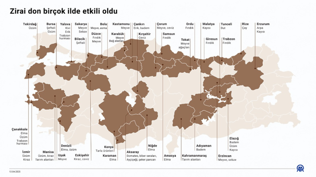 Karaman'da 16 Milyon Elma Ağacı Don Vurdu