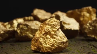 Arazisinden 150 ton altin cikan ciftci 1 kurus alamayacak