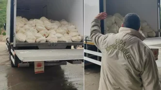 sakarya da 23 ton son tuketim tarihi gecmis lor 18525802 9436 amp