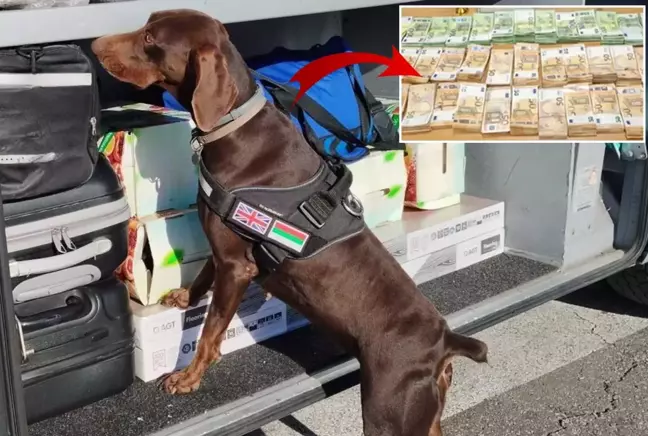 Tıra gizlenen 15 milyon lira dedektör köpek kaçamadı 5 Tıra gizlenen 15 milyon lira dedektör köpek kaçamadı