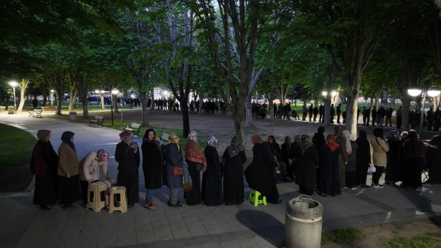 Kayseri'de Domates Fidesi Dağıtımında Yoğun İlgi