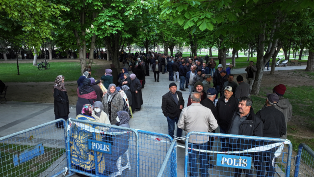 Kayseri'de Domates Fidesi Dağıtımında Yoğun İlgi