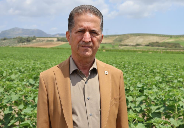 Yurt dışından gelen 2 bin tondan fazla patates virüslü çıktı