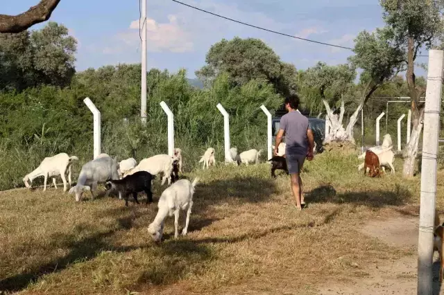 İki üniversite mezunu, yaptığı işi duyan şaşırıyor