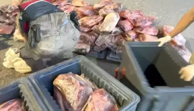 Şanlıurfa'da Mühürsüz 1 Ton 700 Kilogram Et Ele Geçirildi