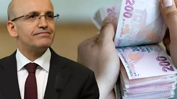 Bakan Simsek yillik enflasyon icin yuzde 19 29 araligini isaret etti