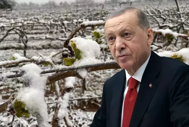 "Bu yıl sıkıntı yaşayacağız" diyen Cumhurbaşkanı Erdoğan, o ürünleri tek tek saydı 3 Bu yil sikinti yasayacagiz diyen Cumhurbaskani Erdogan o urunleri tek