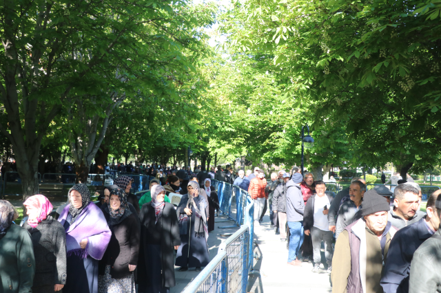 Kayseri'de Domates Fidesi Dağıtımında Yoğun İlgi