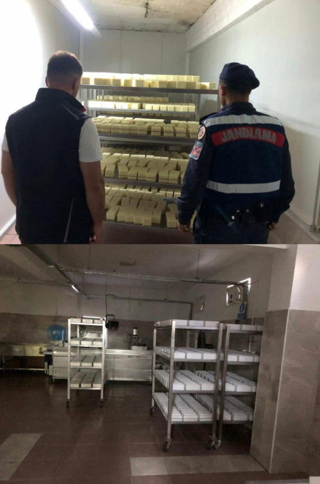 5 ton sahte kaşar peynirine el konuldu