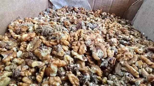 Ünlü baklavacının kurtlu ceviz skandalı büyüyor! Önce reddettiler sonra bambaşka konuştular