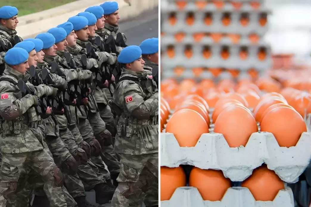 Yumurta ihracatina TSK icin yeni duzenleme getirildi