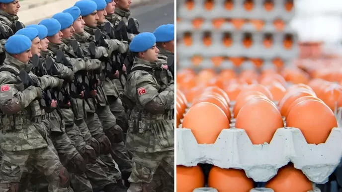 Yumurta ihracatina TSK icin yeni duzenleme getirildi