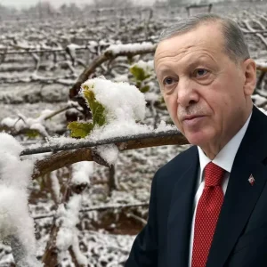 bu yil sikinti yasayacagiz diyen cumhurbaskani 18626789 2083 amp